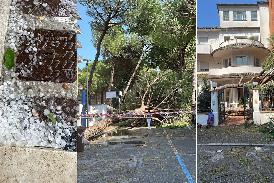 Maltempo a Cervia e Milano Marittima: grandine, forte vento, danni e alberi caduti