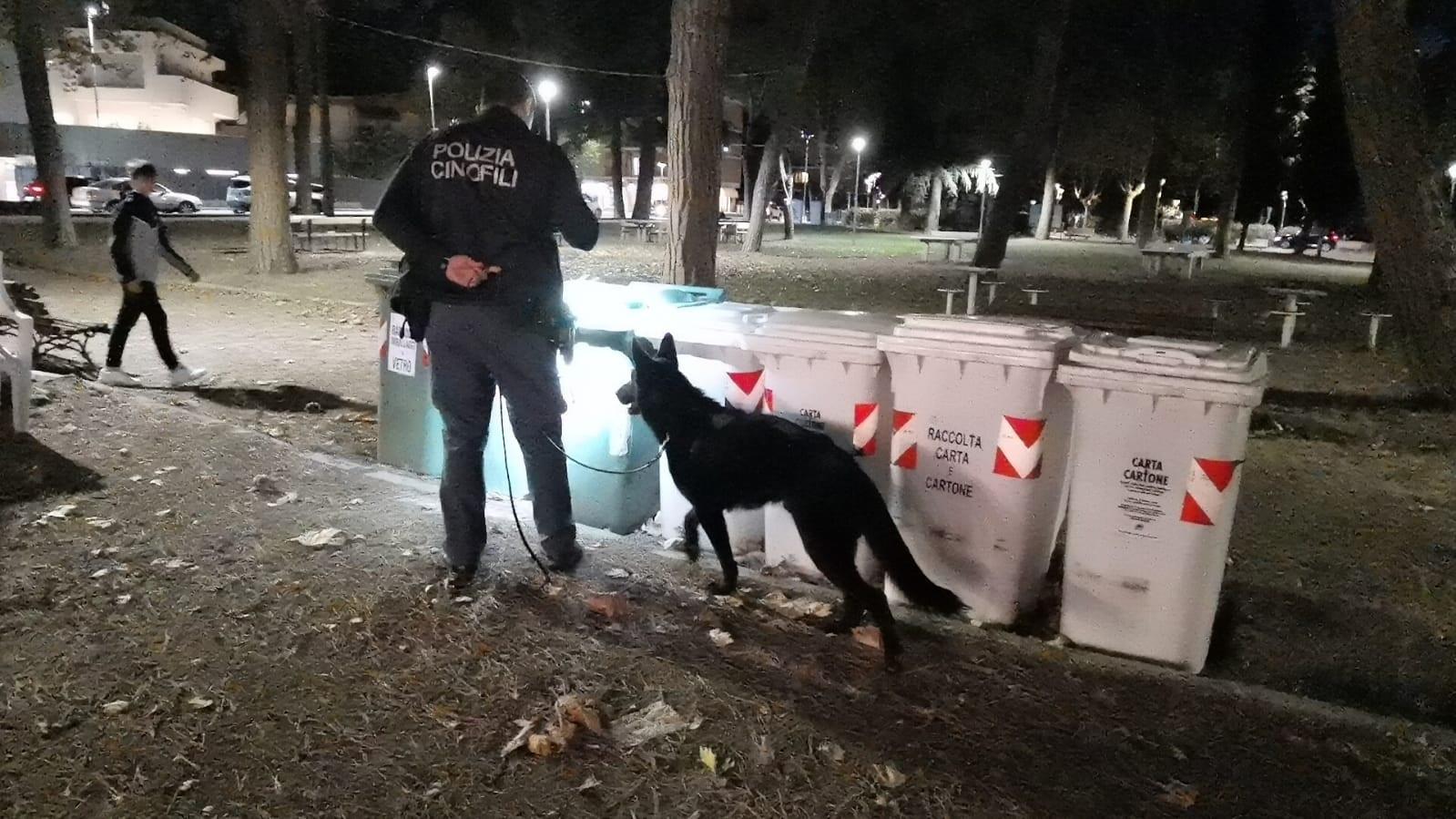 Jesi Blitz Antidroga Con Il Cane Imperator Enne Tenta La Fuga Bloccato Dai Poliziotti