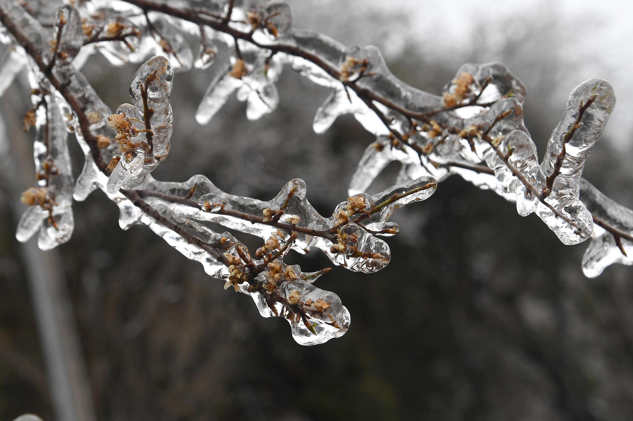 Meteo Emilia Romagna, Pioggia Dopo La Neve. Allerta Per Gelicidio ...