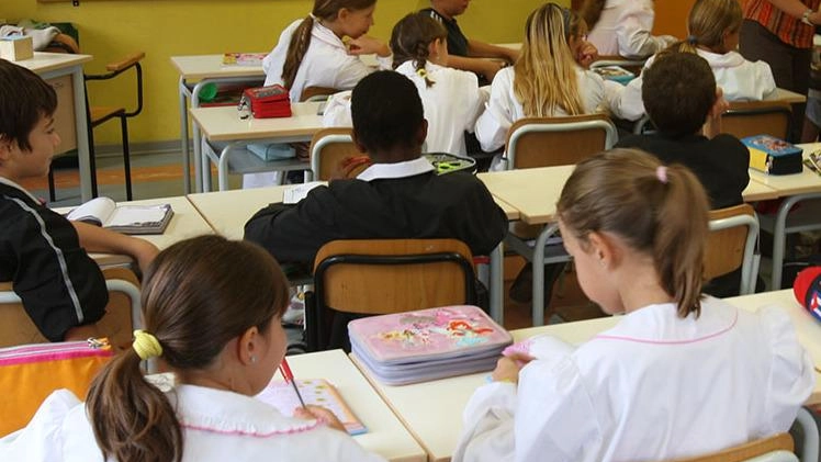 Allarme acari nelle scuole: "Non sedetevi in giardino"