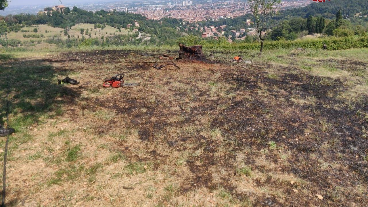 L'incendio nel parco di Villa Ghigi