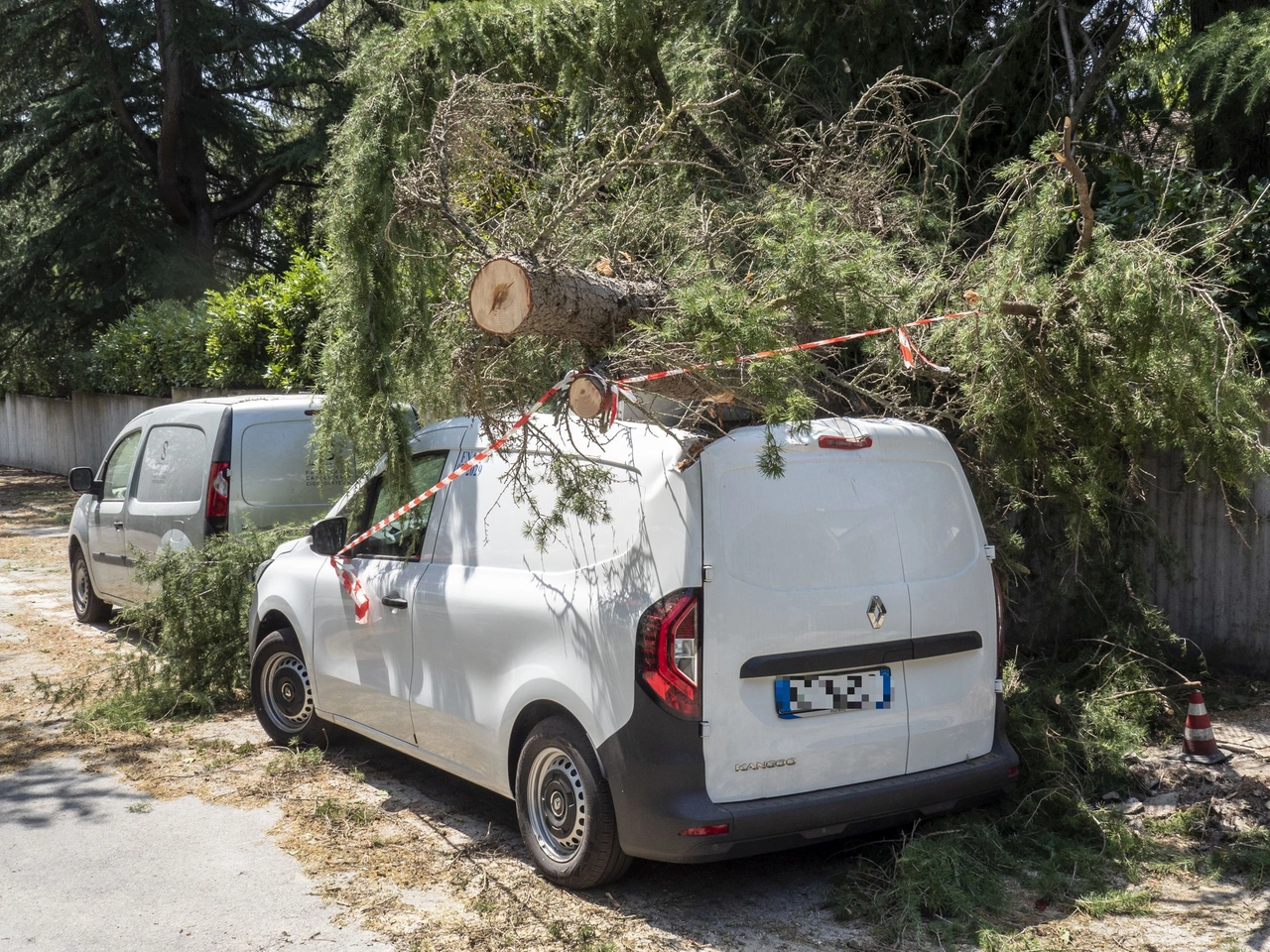 immagine di sfondo 16