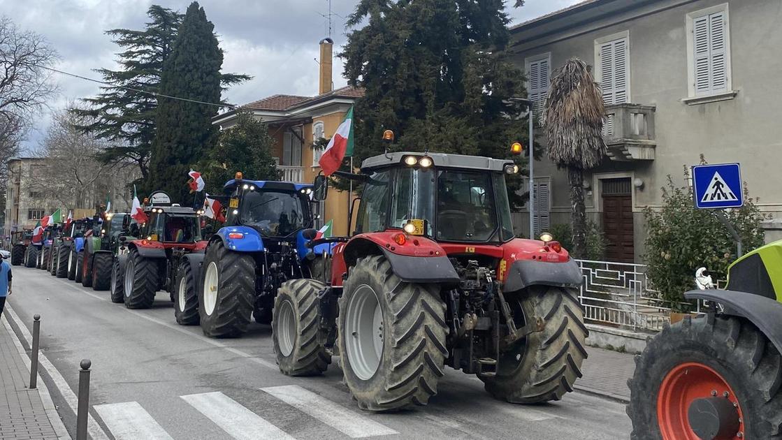 La protesta dei trattori arriva sotto i Torricini: Prezzi carburante alle  stelle e noi più poveri