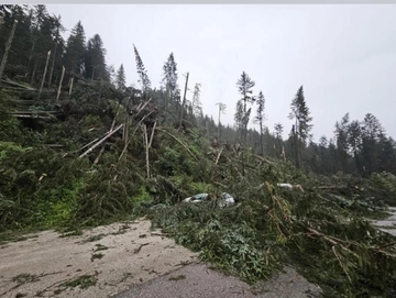 Tromba d’aria sulle Dolomiti, devastati i boschi nel Cadore. Allarme Coldiretti: 24 tempeste in un solo giorno nel Nord Est