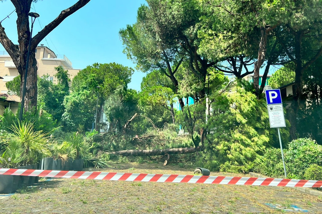 Viale Gramsci a Milano Marittima, dopo il temporale di giovedì 13 luglio che ha abbattuto molti alberi