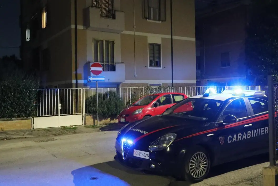 Ravenna, stanchi per i continui furti, installano il filo spinato: multati  - Radio 105