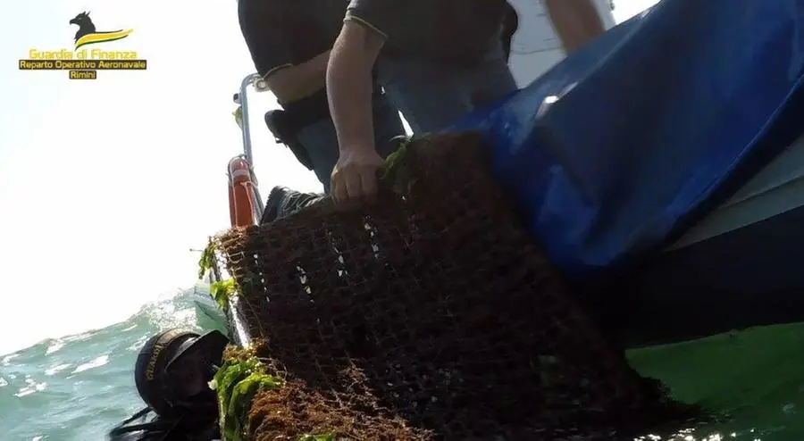 Discarica in mare a Rimini, cosa è stato trovato sul fondale