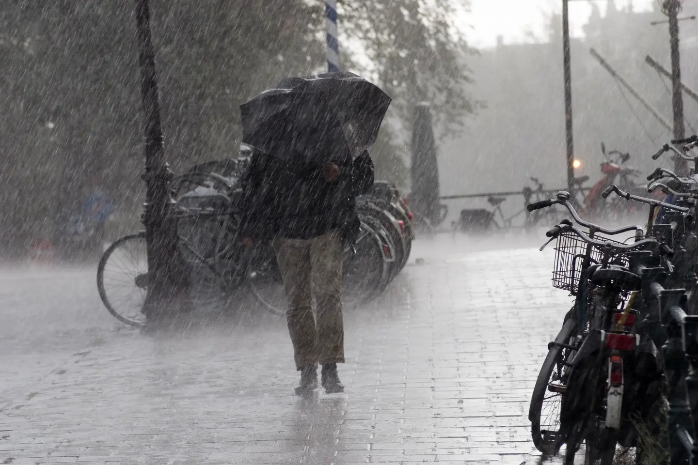 Maltempo, Peggiora In Veneto: Scatta L’allerta Rossa Per Forti Venti E ...