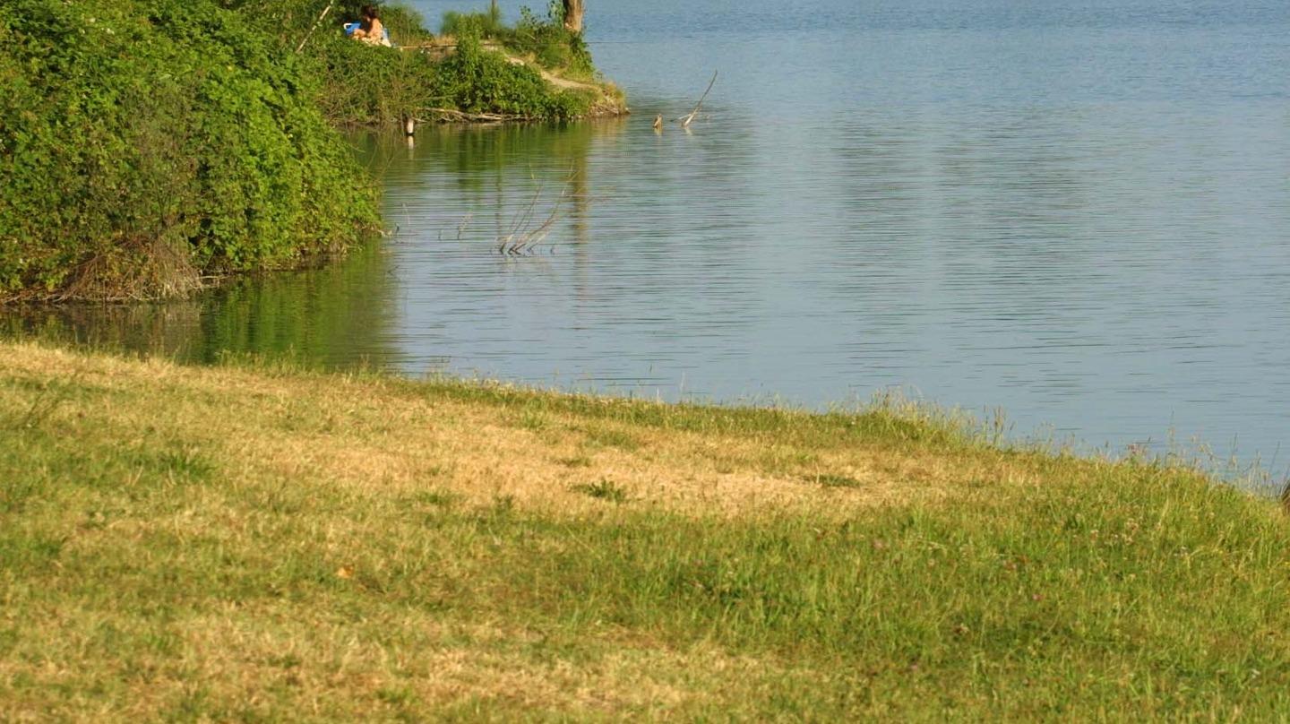 Sesso tra uomini al parco davanti ai bambini