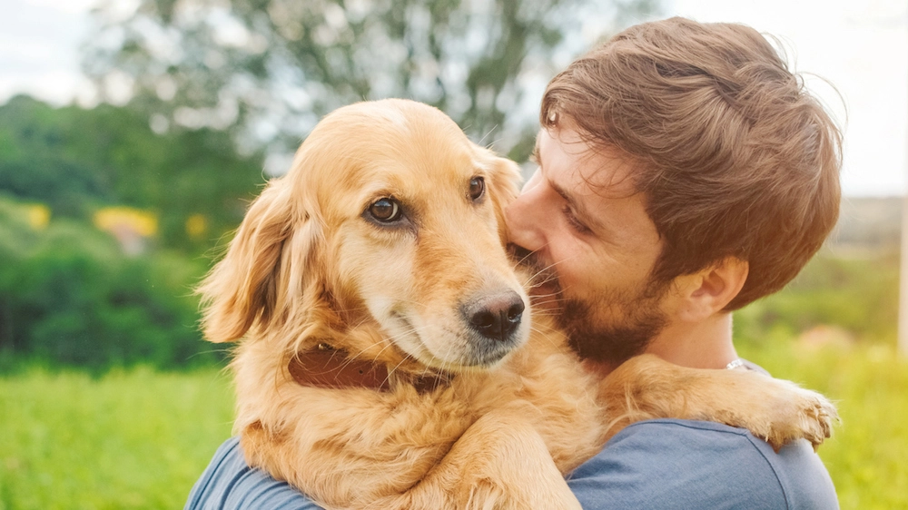 Il Golden retriever fa parte di una ‘unità cinofila da soccorso’