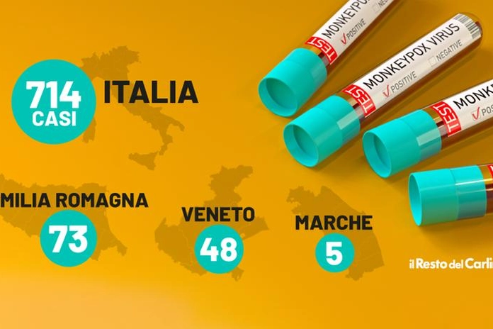 Vaiolo delle scimmie: i casi in Emilia Romagna, Marche e Veneto