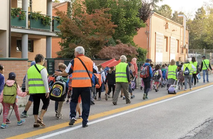 Pedibus a Bologna attive 5 nuove linee la mappa con tutti i