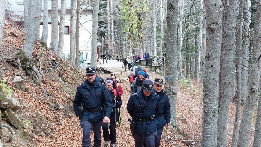 Il cammino sulle tracce dei carbonai