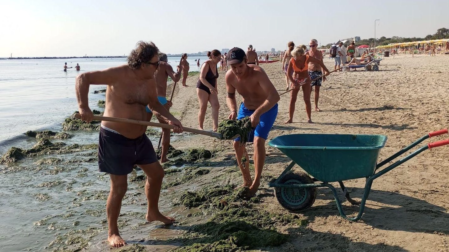 Scacchi invaso da alghe  E i turisti si mobilitano