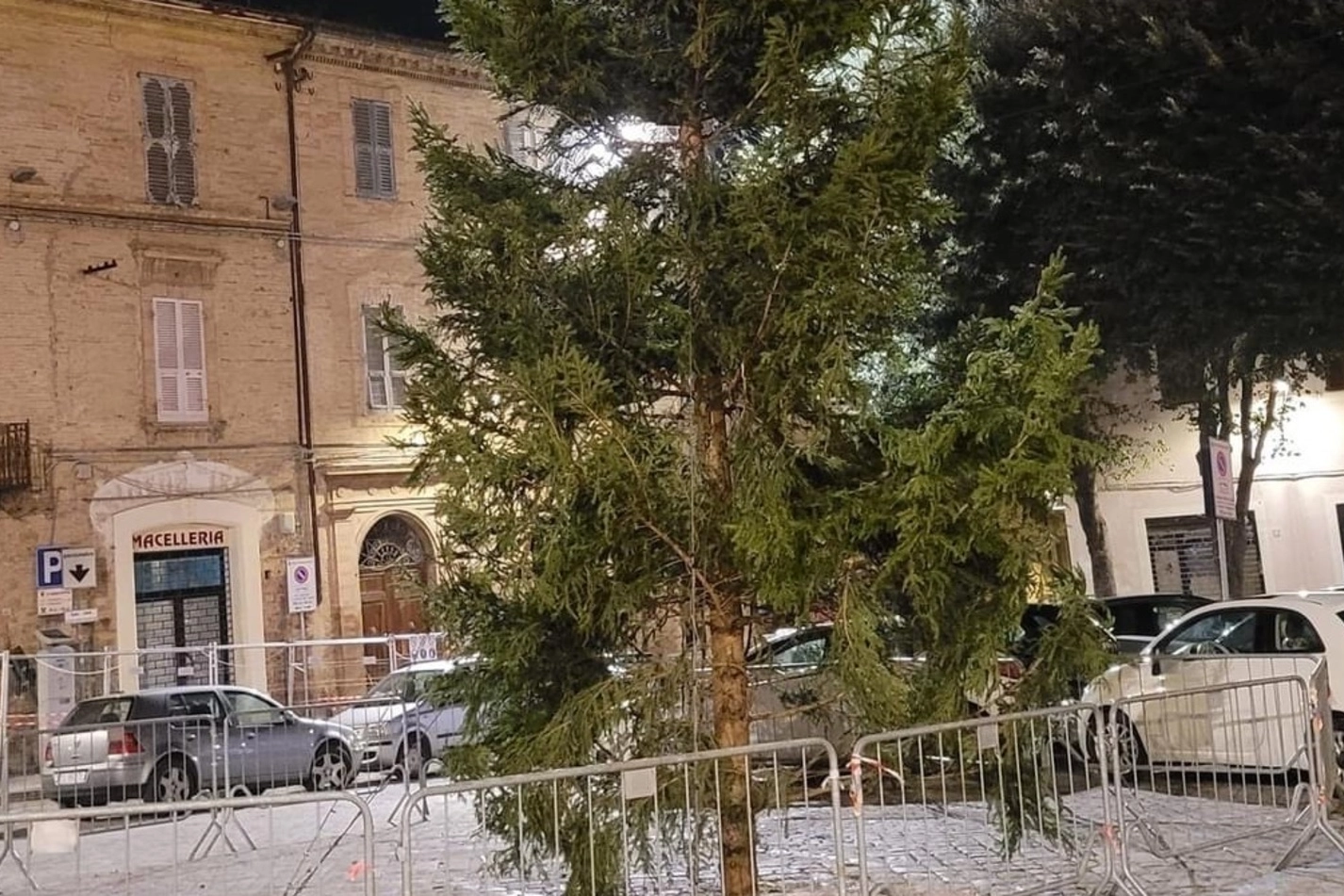 L’albero diventato ’spelacchio’ per alcuni cittadini si trova a Civitanova Alta
