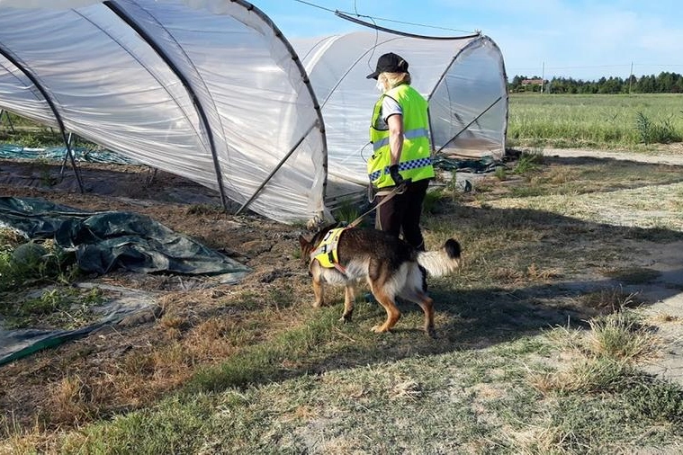 In azione i Detection Dogs Ticino