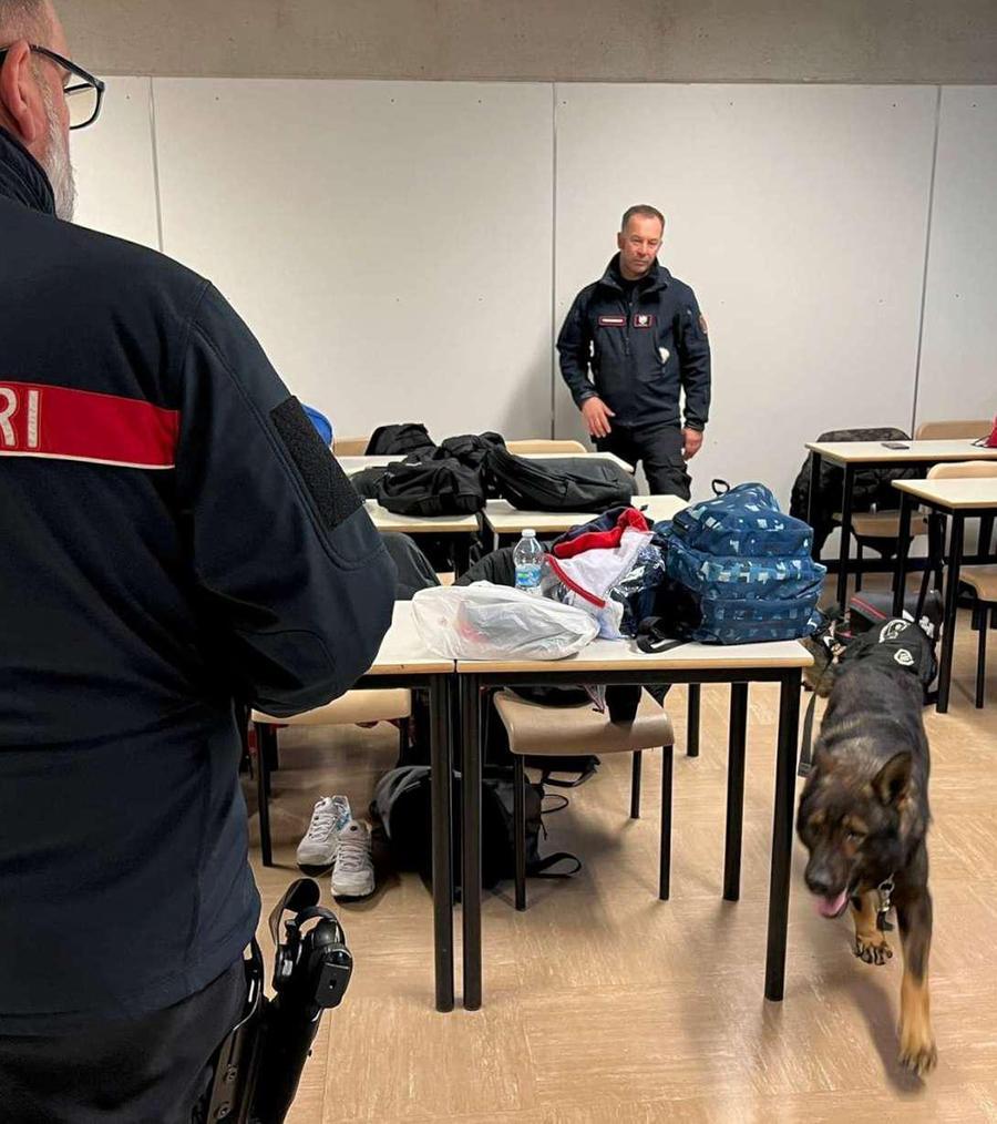 Controlli Antidroga Con Le Unit Cinofile Allistituto Monaco Di Pomposa