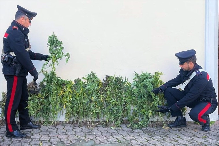 I carabinieri con una parte della marijuana sequestrata