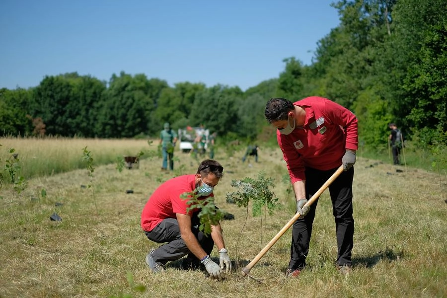 Prevista la piantumazione di 17 ettari di bosco