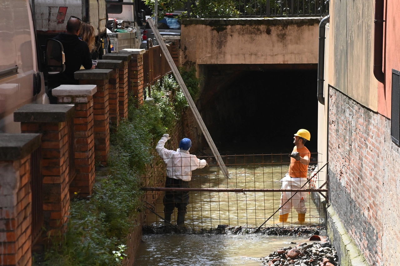 Operazioni di pulizia nel torrente Ravone