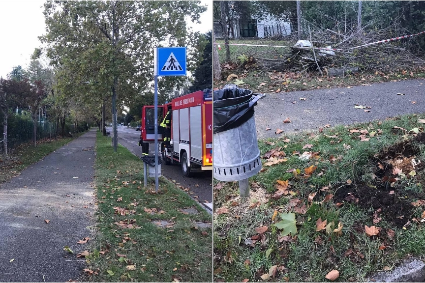 I vigili del fuoco intervengono per il crollo di un albero su due donne che facevano jogging