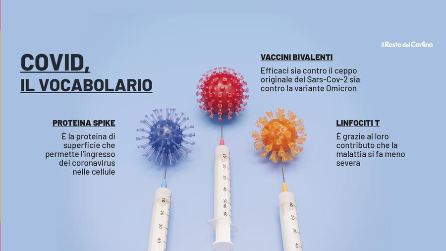 Nuovo Vaccino Covid, L'esperto: Funziona E Gli Studi Proseguono