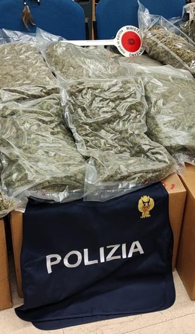 Chili Di Droga Tra La Verdura, Camionista In Manette