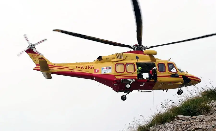 Boscaiolo muore travolto da un albero nel Bellunese