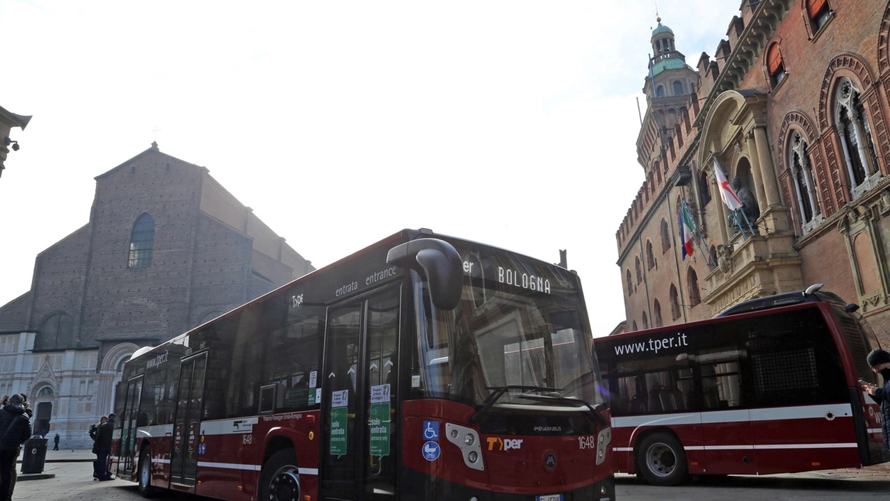 I nuovi autobus Tper  (FotoSchicchi)