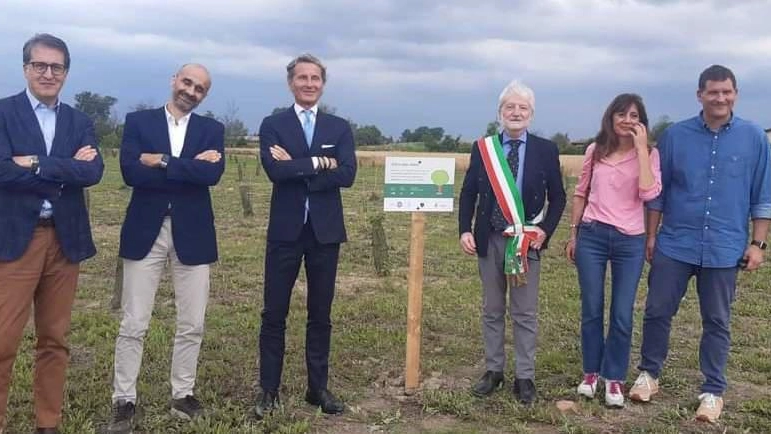 Lamborghini cresce in mezzo alla foresta