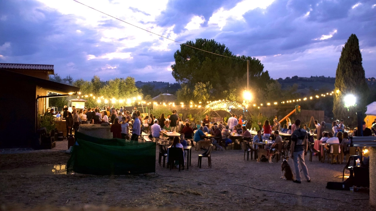 Azienda agricola Il Salto