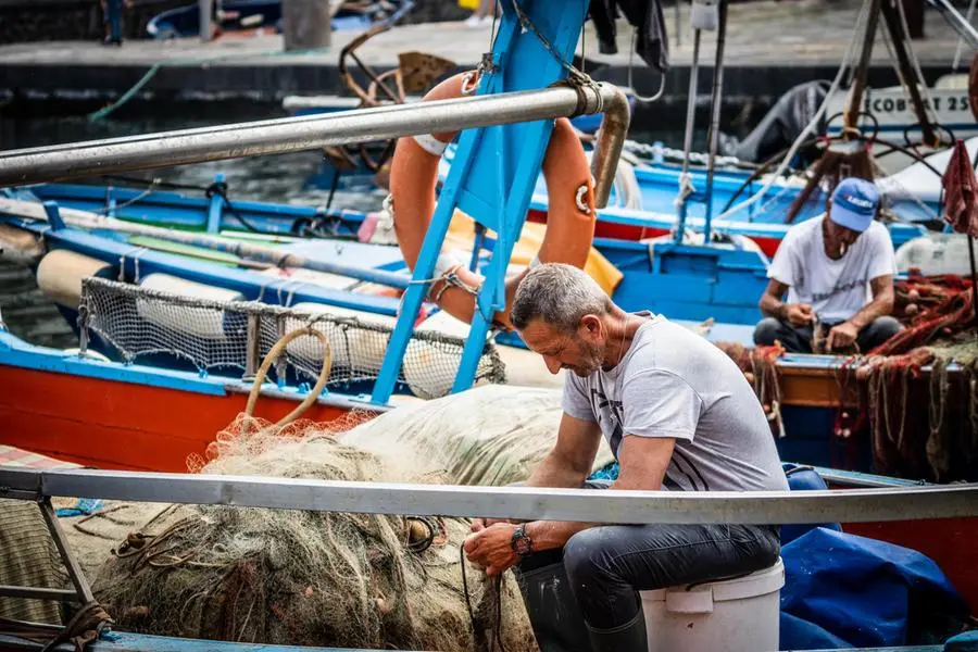 Fermo pesca 2022 in Adriatico: stop al pesce fresco a tavola