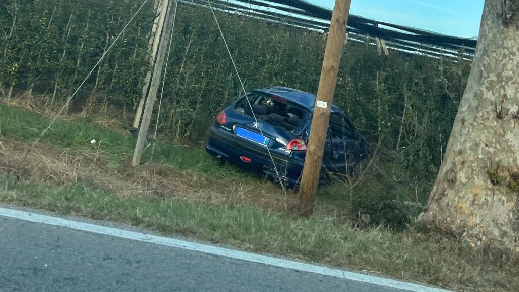 La Peugeot 206 blu ha riportato grossi danni e per il conducente nulla da fare