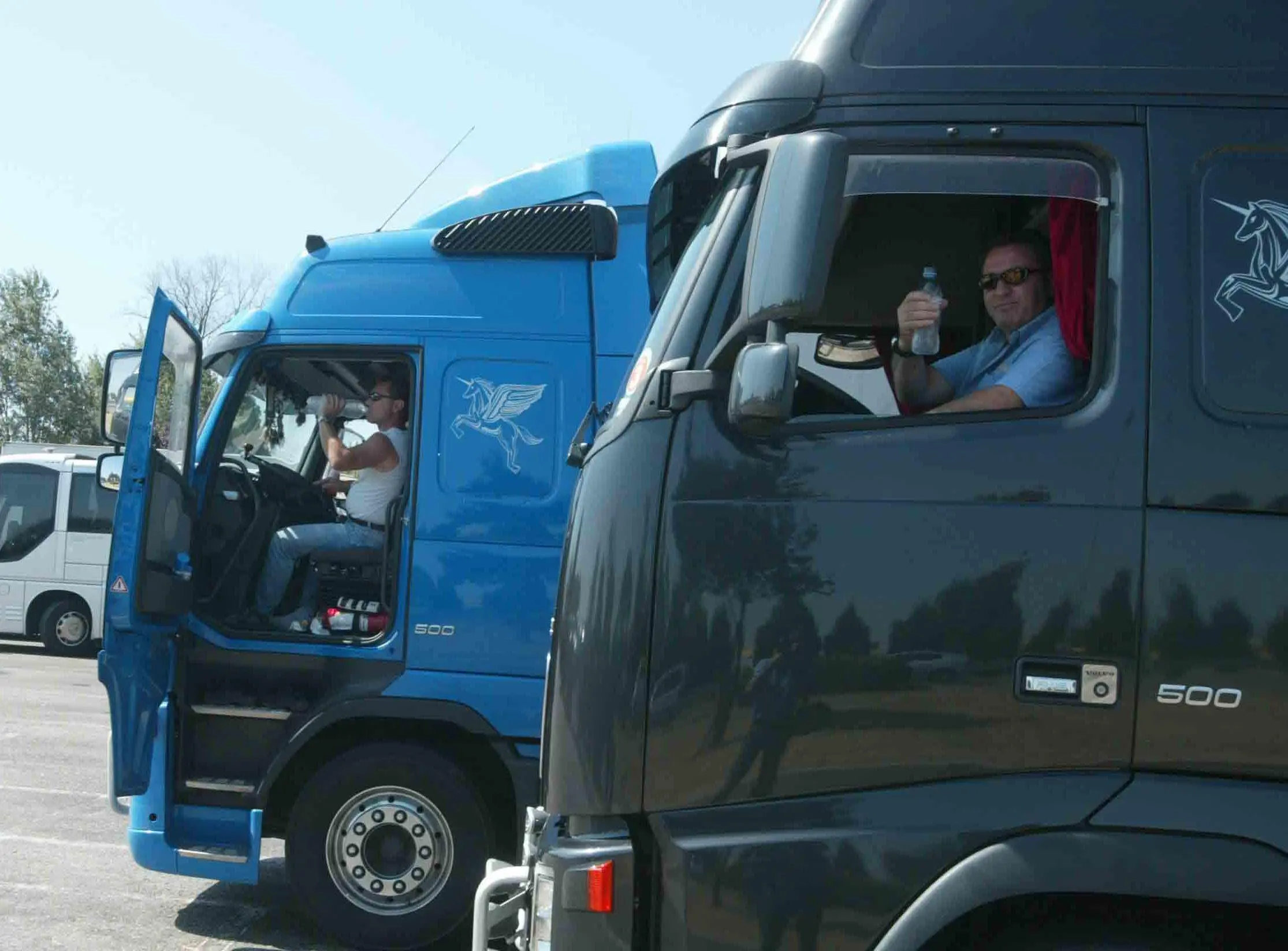 Azienda trasporti cerca autista