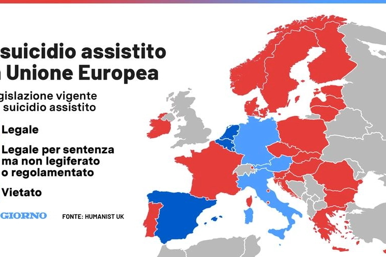 Grafico di Arnaldo Liguori