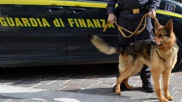 Venezia, maxi sequestro 850 chili di cocaina su nave: plauso di Meloni