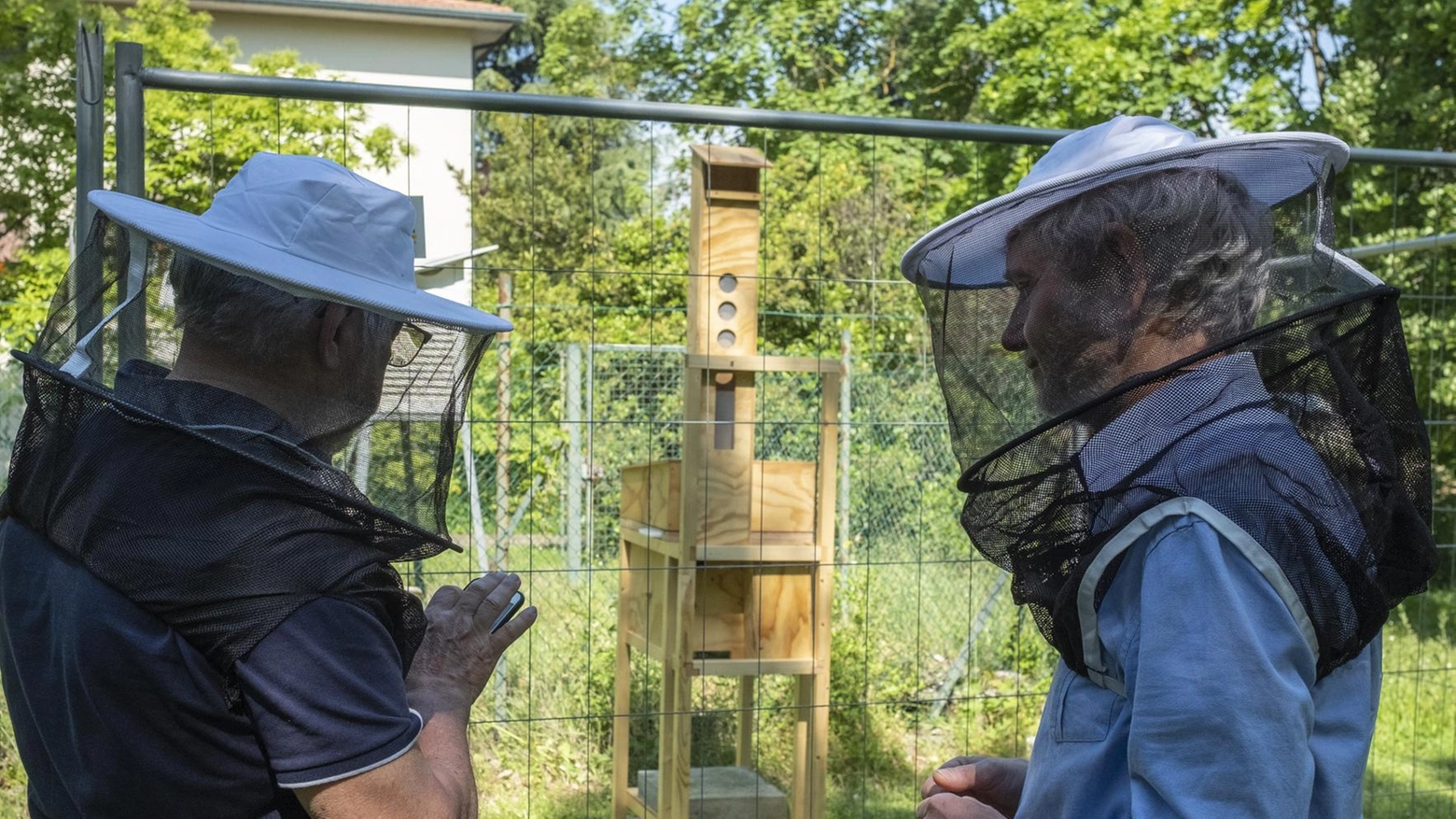 Le api misurano l’inquinamento:  "In città trovati metalli pesanti"