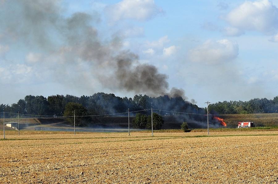 Incendio Ad Alfonsine: Si Alza Una Colonna Di Fumo. A Fuoco Ettari Di ...