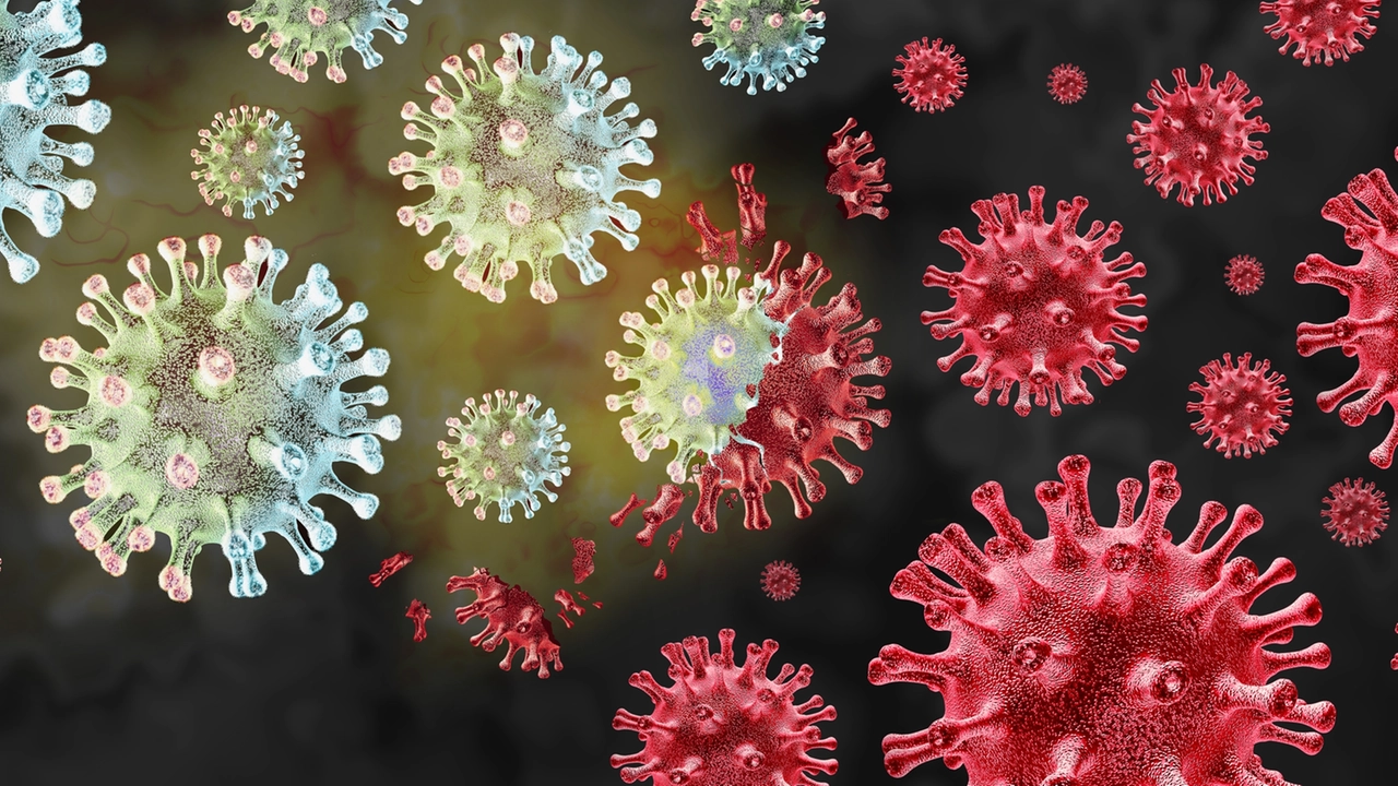 Covid, la variante Pirola è in crescita in Italia. I casi di Coronavirus sono in aumento anche in Emilia Romagna