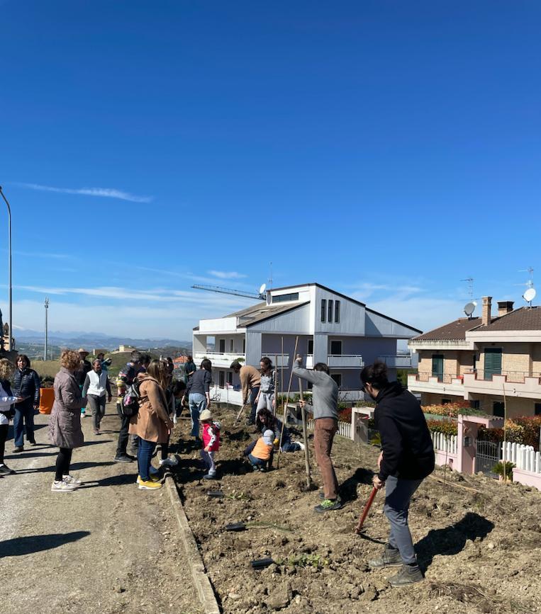 Boschi Urbani Si Piantano Alberi Per Larea Camper