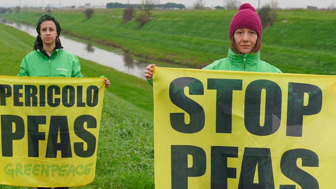 Acqua potabile, sos di Greenpeace: "Contaminazione da Pfas a Reggio. Dati allarmanti per la salute"