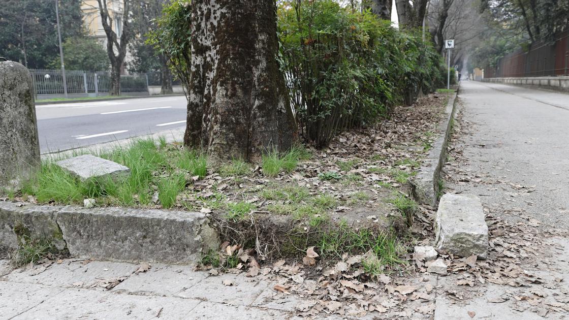 Strade e ciclabili groviera . Buche e asfalto sgretolato. Anche i rattoppi sono pericolosi