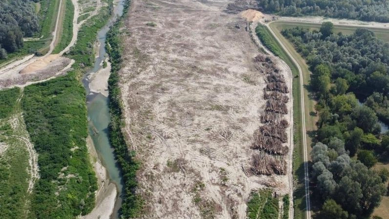 Ben 198mila euro al Comune di Rubiera e 7mila a quello di Modena per il taglio selvaggio delle piante. Il comitato: "Bene che i responsabili paghino, ma la multa è irrisoria rispetto al danno ambientale".