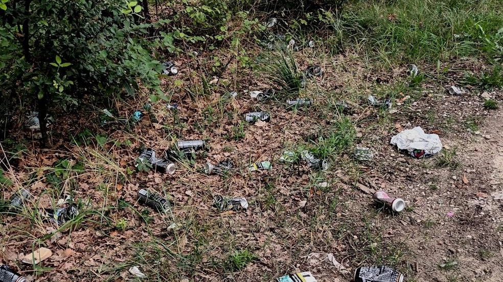 Il malcostume del littering con lattine di birra vuote persiste lungo una scarpata vicino a Massignano, senza soluzioni di raccolta differenziata.