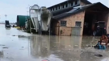 Alluvione, l’sos dell’allevatrice: "Sola e indifesa coi miei animali. Ora ho bisogno del vostro aiuto"