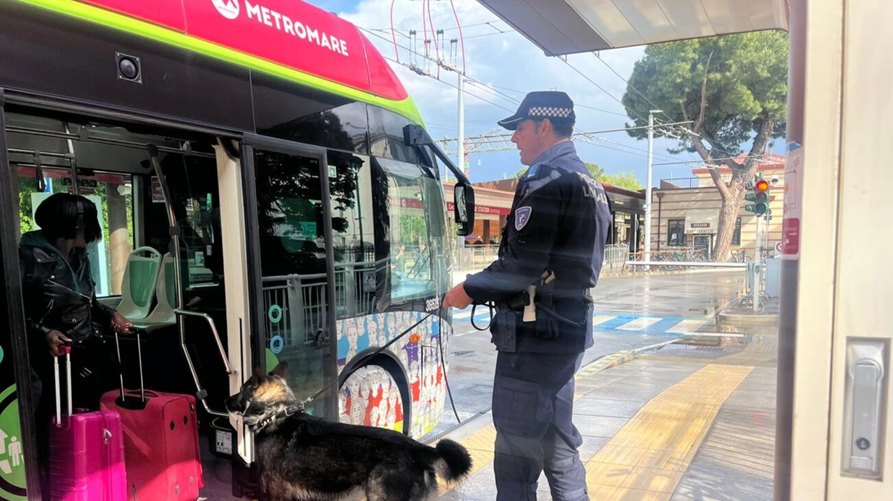 Controlli con i cani antidroga sui mezzi del Metromare