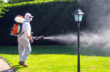 Dengue, scatta la disinfestazione attorno all’ospedale di Macerata. Ecco le zone interessate