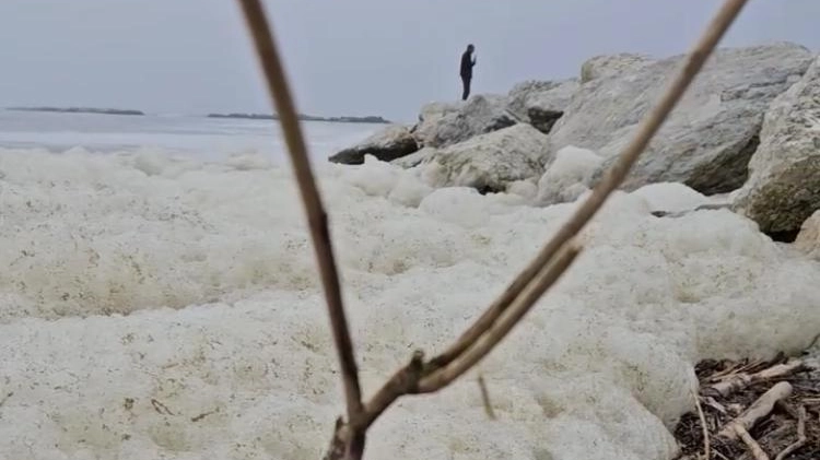 L’inquietante massa di schiuma sulla spiaggia di Bellaria (foto Paolo Barberini)