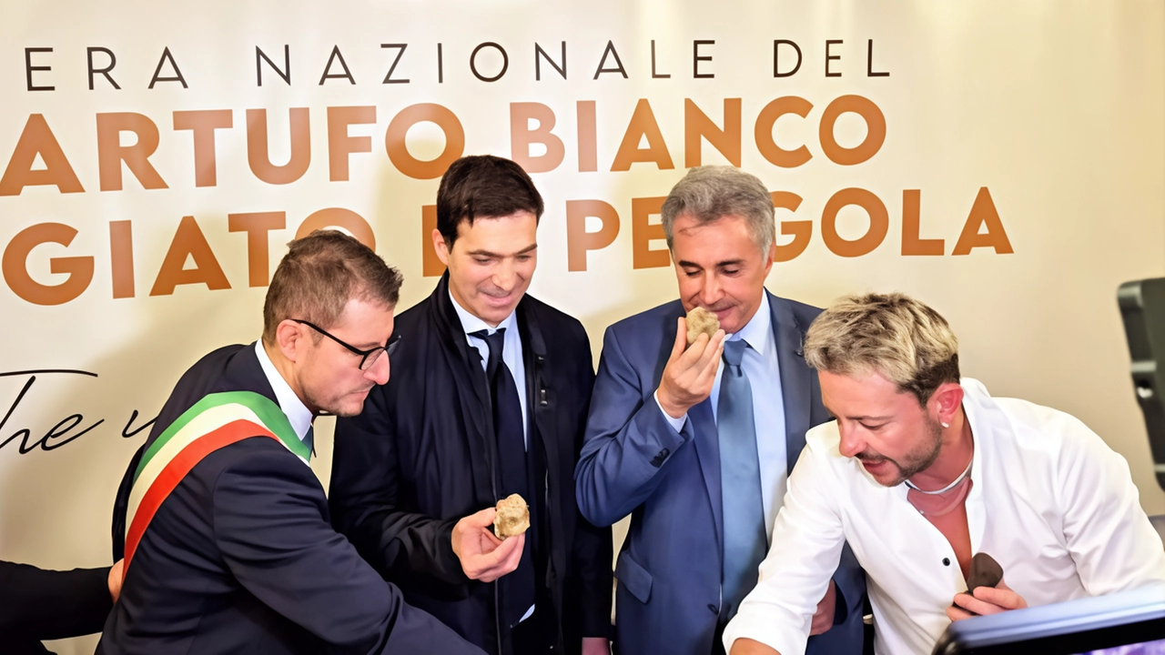 Il sindaco Sabatucci, il governatore Acquaroli e Baldelli domenica scorsa alla Fiera del Tartufo di Pergola