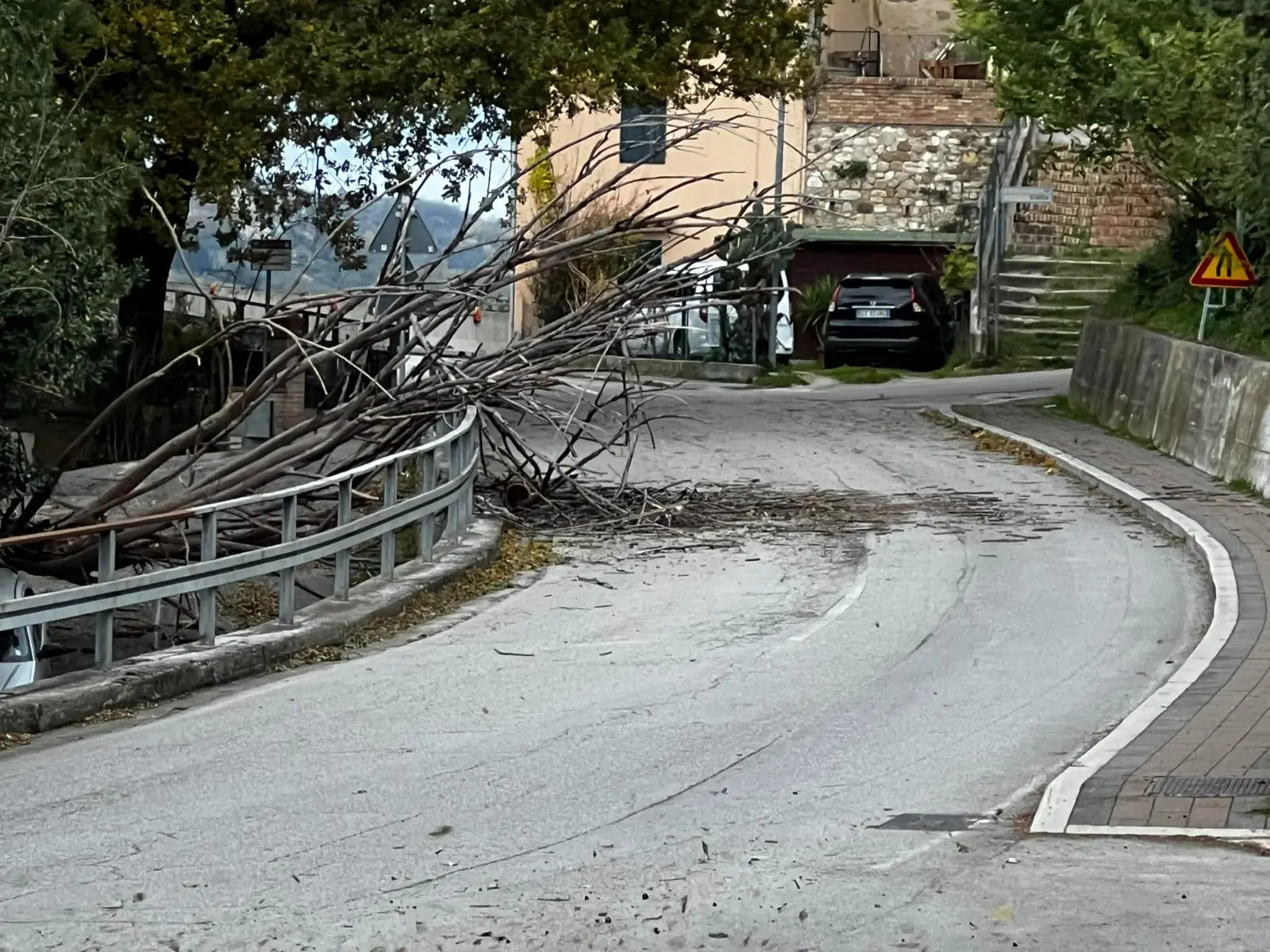 Forte garbino e danni: il vento fa danni ma pulisce l'aria in l’Emilia Romagna